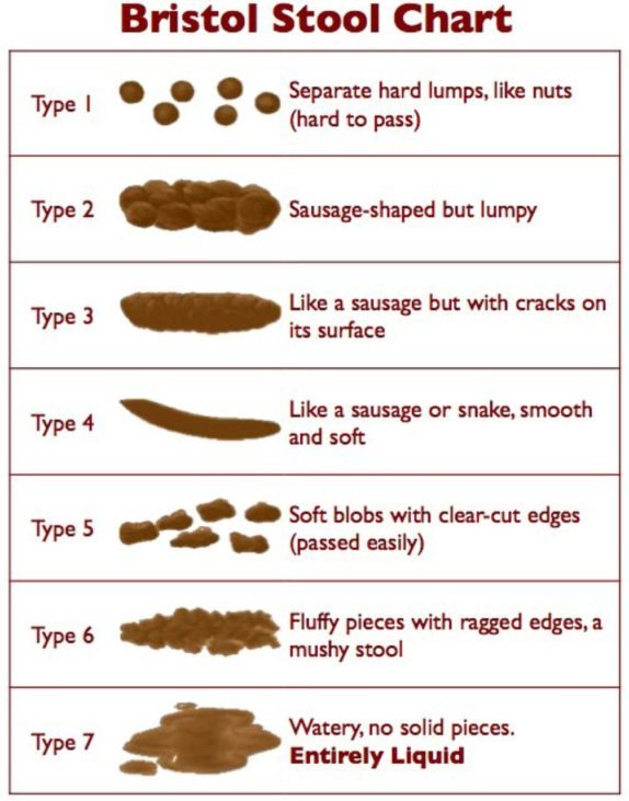 To show what a normal poo lokks like